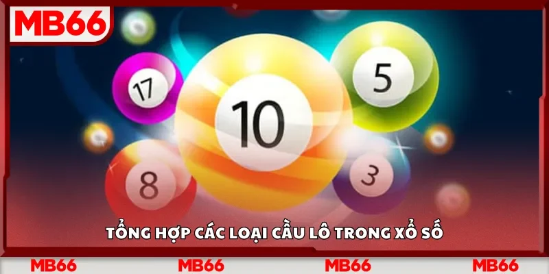 Tổng hợp các loại cầu lô trong xổ số
